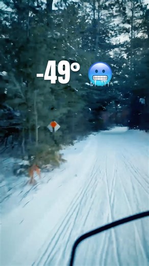 Snowmobiling in -49° 🥶❄️ #goatstrail #snowmobile