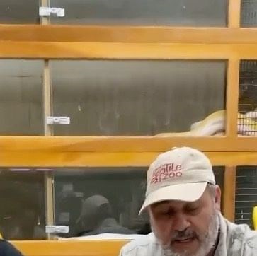 The Reptile Zoo on Instagram: "Wait for it lol things can get interesting helping my dad get the eggs from the big reticulated Pythons 🐍 We are trying to help the babies survive and this momma wasn’t having it 😱 • • • #big #python #mom #reelsinstagram #snake #adventure #reptile #eggs #video #fun #reels #dad #daughter #day #livingthedream #reptilezoo"