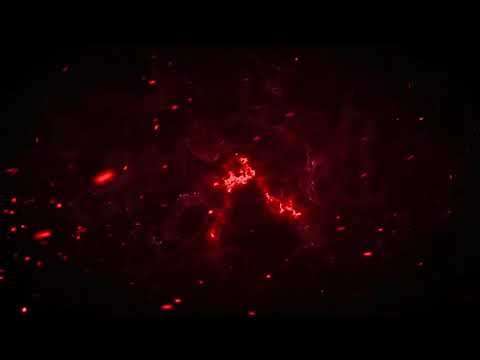 (FREE) Particles Overlay Pack - Premiere Pro, After Effects, Sony Vegas, Final cut | Stock Footage