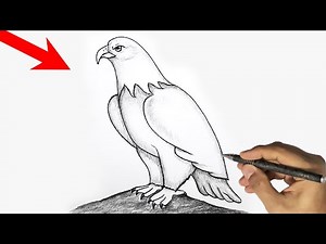 How To Draw An Eagle Easy | How to draw a bald Eagle easy step by step