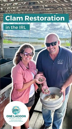 How Do Clams Spawn? Clam Biology & Restoration Practices in the Lab