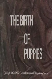 The Birth of Puppies - Movie