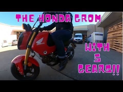 2021 Honda Grom TEST RIDE & REVIEW I Bikebiz (Sydney)