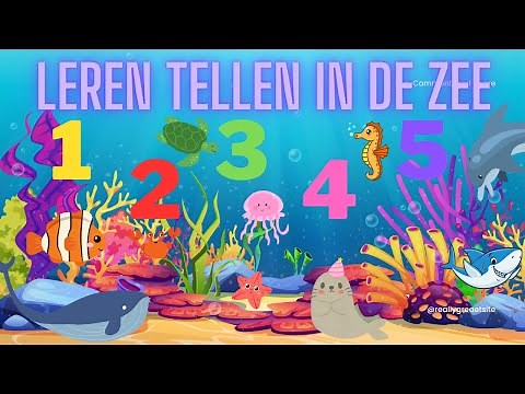Leren Tellen in de Zee 🌊 Tellen van 1 tot 10 🐠 Nederlandse Kinderfilmpjes voor Peuters en Kleuters 🐬