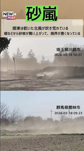 【砂嵐】関東で北風が吹き荒れる 砂埃が舞い上がり視界不良に #ウェザーニュース #shorts #news