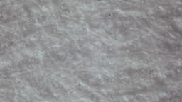 Coated paper under a microscope. 100x magnification. Wood fibers...