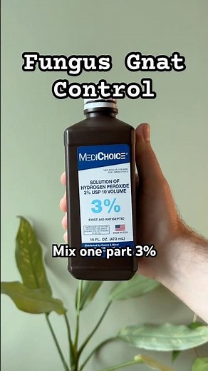 Bye fungus gnats! 🪰 Try this hydrogen peroxide soil hack for healthy, gnat-free plants! 🪴 #plants