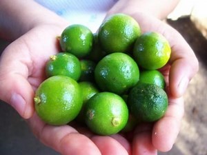 Health Benefits and Other Uses of Calamansi