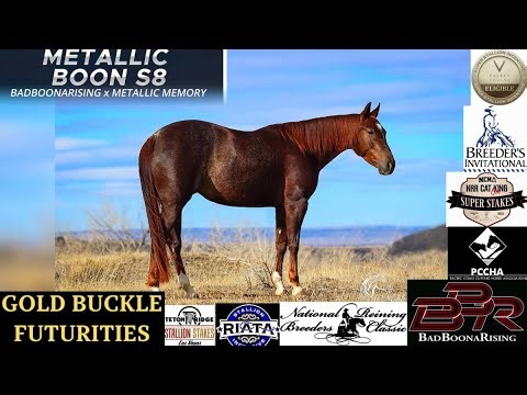 METALLIC BOON S8 #billingslivestockhorsesale