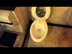 Bathroom Tour: Cenacolo Italian Restaurant, Kukulcan Plaza Mall, Cancun, Mexico