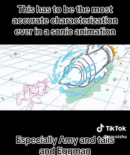Best sonic characterization#sonicthehedgehog #tailsthefox #amyrose #knucklestheechidna #supersonic2