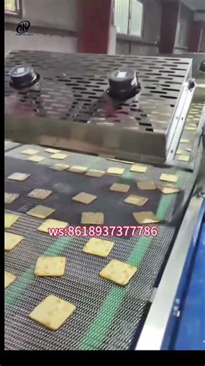 Upgrade Fully Automatic Biscuit Line#BiscuitProductionLine#AutomaticBiscuitLine #oven #doughmixer