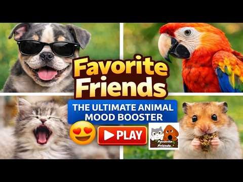 Favorite Friends: The Ultimate Animal Mood Booster✨💖