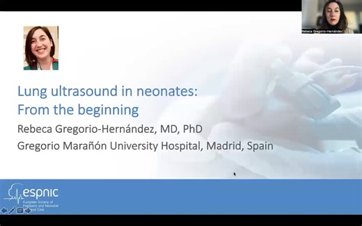 1.1 Introduction to Lung Ultrasound (US Basics)