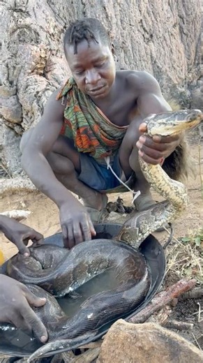 Dudukwe preparing big python meat to cook