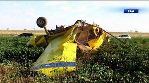 Texas small plane crash was gender reveal gone wrong, NTSB finds