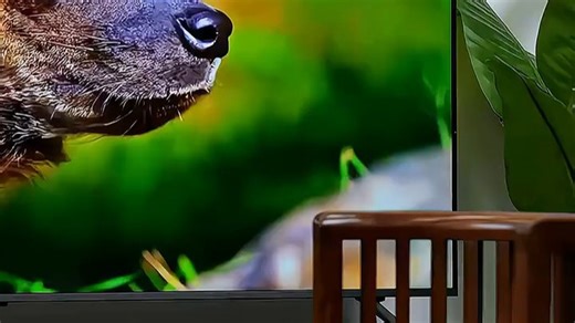 杜比全景声与DTS双解码，畅享沉浸式音效体验