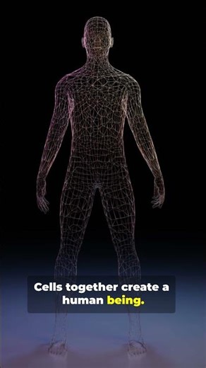 One Principle From Atoms to Galaxies