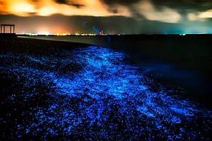 This Beach That Glows in the Dark Is Completely Magical to See