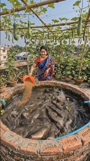 Amazing Urban Farming: Organic fish Farming & Vegetable Gardening at Home! Rooftop fish farming g...
