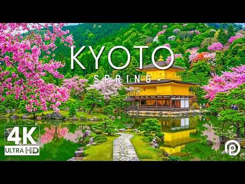 Kyoto, Japan in Spring 4K - Amazing Beautiful Nature Scenery with Relaxing Music