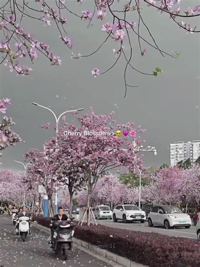 Cherry Blossom Cupcake Creations