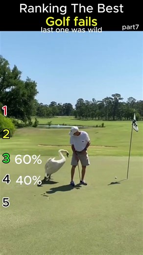 Ranking the best golf fails