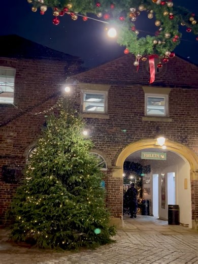 15 reactions | Preston Park Museum and Grounds on Reels | Facebook