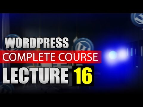 lecture 16 | Complete Wordpress Course | How to add animation using Elementor Pro