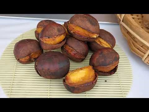 笠間新栗祭り②❗焼き栗最強⁉️行列❗栗スィーツ🌰🧁