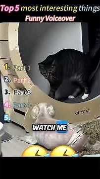 Funny voice-over compilation #foryou #funny #pets #voiceover #dog #cat #fyp