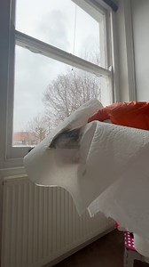 the extendable duster made this so much easier - high ceilings are gorgeous but hard to clean! #cleaningmotivation #EndofTenancyCleaning #endoftenancyclean #satisfyingcleaning | Clean Up with Jo