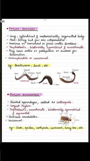 Chapter 06. Animal Classification notes | Class 10 | Science 2 | SSC | Maharashtra Board #biology