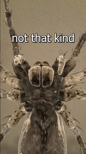 Why Games Can Frustrate Your Child