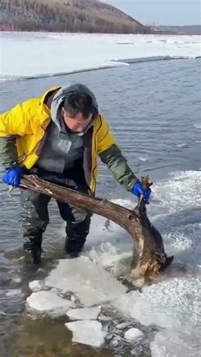Amazing Survival Skills: Innovative Method of Fishing Through Ice in Extreme #fishing #fishies