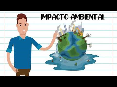 IMPACTOS AMBIENTAIS - RESUMO