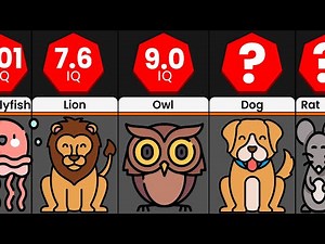 Animal intelligence | Comparison