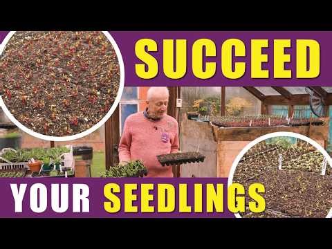 Seedling Kindergarten in Early Spring: Germination Heat, Light & Strong Growth