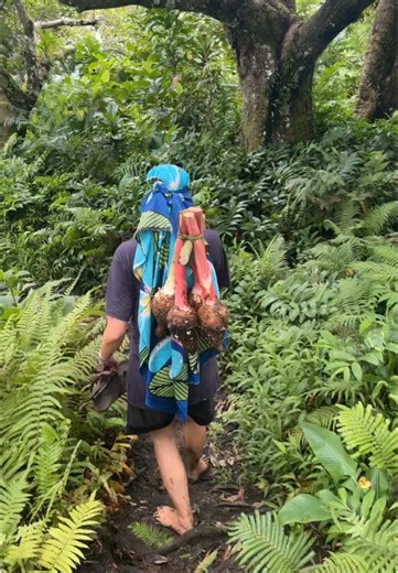 Discovering the Flavors of a Fijian Feast