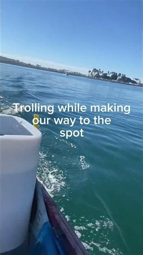 Fishing from a boat in mission bay
