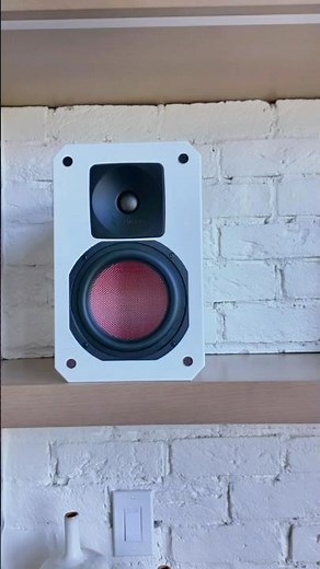 Custom bookshelf speaker for TV sound