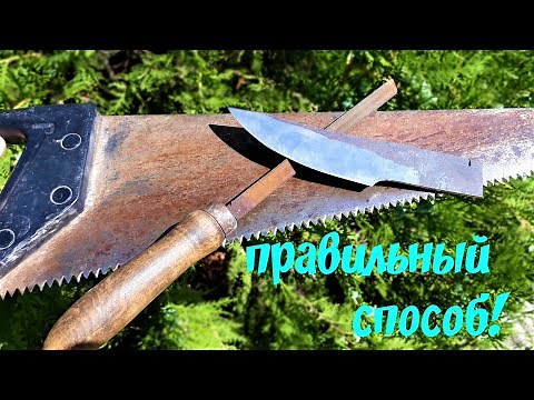 How to sharpen and set a saw properly! And why do you need a knife?!
