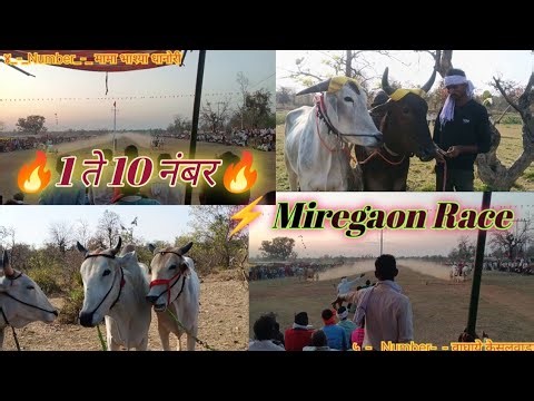 💥१ ते १० नंबरचे सर्व बैल जोडी |Miregaon Bailgada Sharyat 2026#बैलगाडाशर्यत #मिरेगाव #BailgadaSharyat