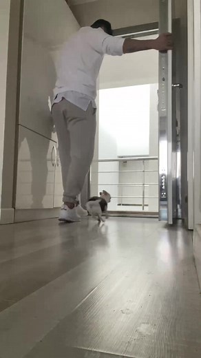 Murat Noyan TikTok'ta