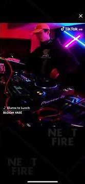 BLOOM VASE / Bluma to Lunch