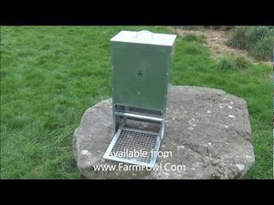 Automatic Chicken Feeder (FarmFowl.Com)