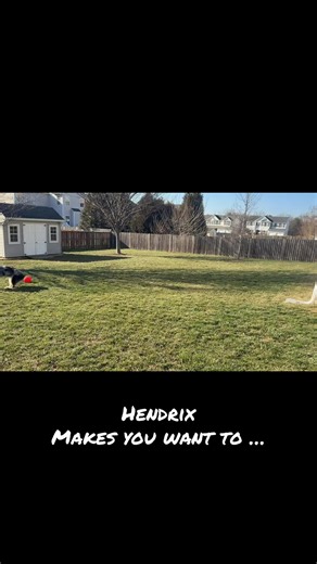 Springtime Jumping Fun with Aussie Vibes