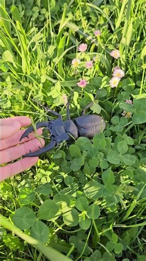 Do you wanna create and print realistic 3D MODELS ? LINK IN BIOI #3dprinting #3dmodeling #makerworld