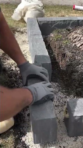 the process of installing paving blocks around the trees in the yard #construction #shorts