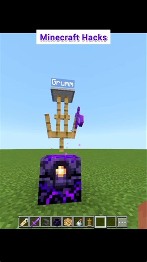 Minecraft Viral Sword Hacks #minecraft #hacks #shorts